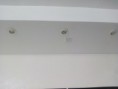 Halógenos redondos blancos. Precio: 7 unidades 120€